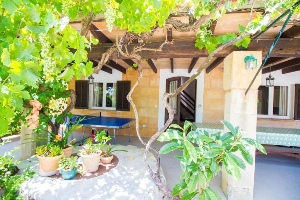 Charming With A/c And Wifi Vakantiehuis