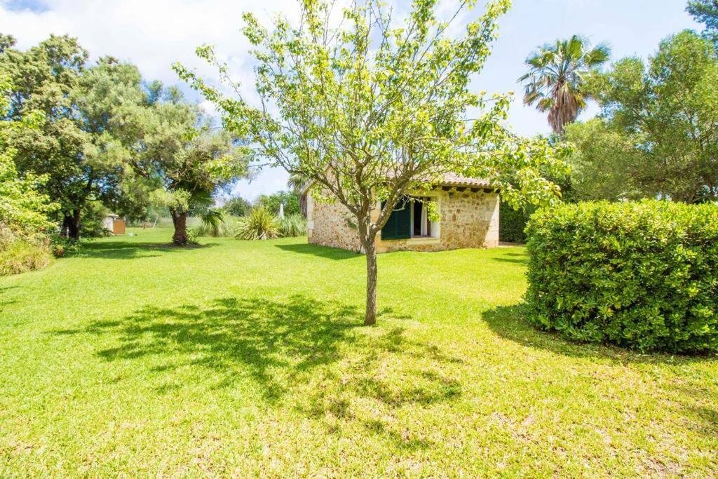 Charming With A/c And Wifi * Pollenca